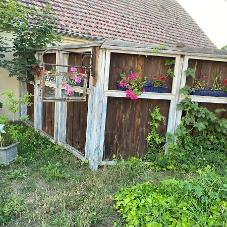 Ostsee Radlerpension Peitz Zewnętrze zdjęcie